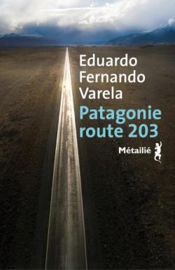 CVT Patagonie Route 203 6988